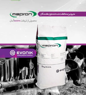 اهمیت متیونین پوشش‌دار در تغذیه گاو شیری